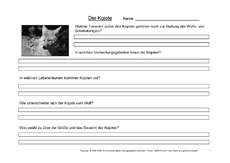 Kojote-Fragen-1.pdf